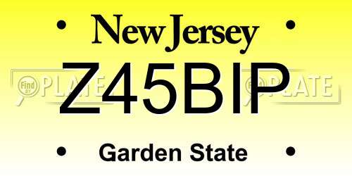 Z45BIP New Jersey License Plate