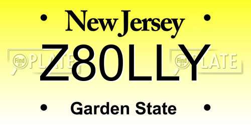 Z80LLY New Jersey License Plate