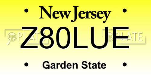 Z80LUE New Jersey License Plate