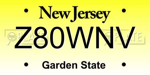 Z80WNV New Jersey License Plate