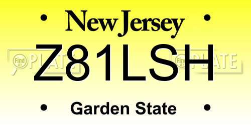 Z81LSH New Jersey License Plate