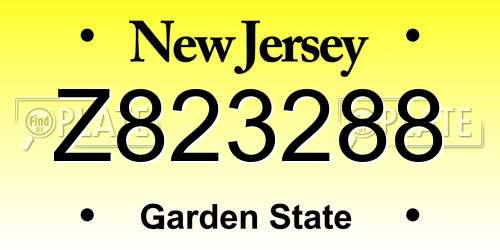 Z823288 New Jersey License Plate