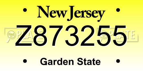 Z873255 New Jersey License Plate