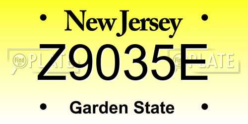 Z9035E New Jersey License Plate