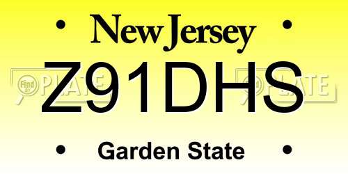 Z91DHS New Jersey License Plate