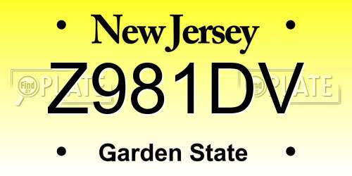 Z981DV New Jersey License Plate
