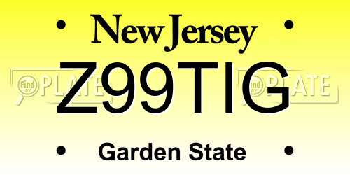 Z99TIG New Jersey License Plate