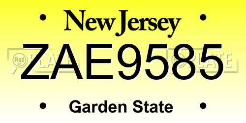 ZAE9585 New Jersey License Plate