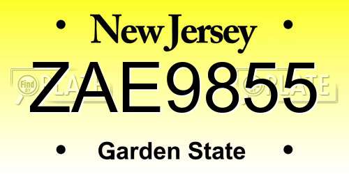 ZAE9855 New Jersey License Plate