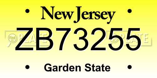 ZB73255 New Jersey License Plate