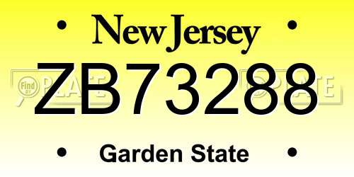 ZB73288 New Jersey License Plate