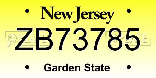 ZB73785 New Jersey License Plate
