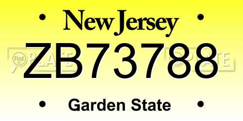 ZB73788 New Jersey License Plate