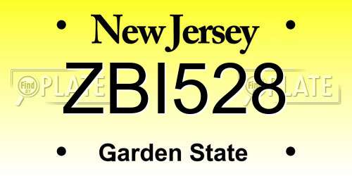 ZBI528 New Jersey License Plate