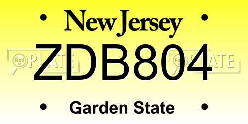 ZDB804 New Jersey License Plate