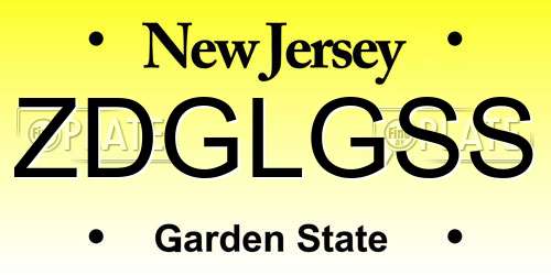 ZDGLGSS New Jersey License Plate