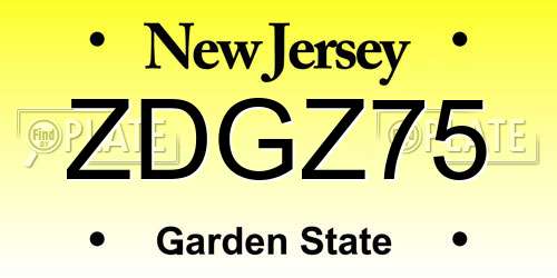 ZDGZ75 New Jersey License Plate