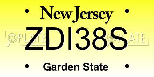ZDI38S New Jersey License Plate