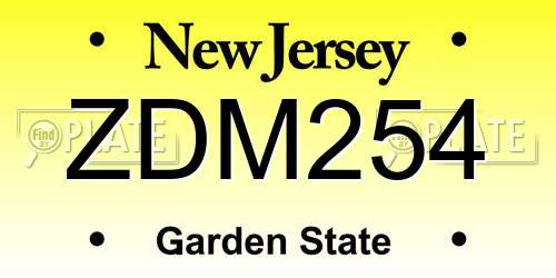 ZDM254 New Jersey License Plate