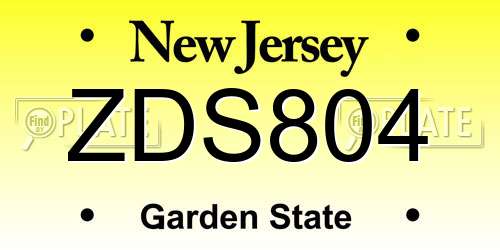 ZDS804 New Jersey License Plate