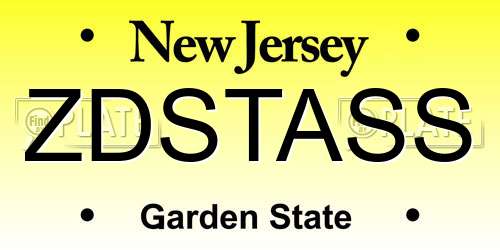 ZDSTASS New Jersey License Plate