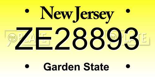 ZE28893 New Jersey License Plate