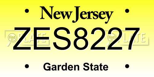 ZES8227 New Jersey License Plate