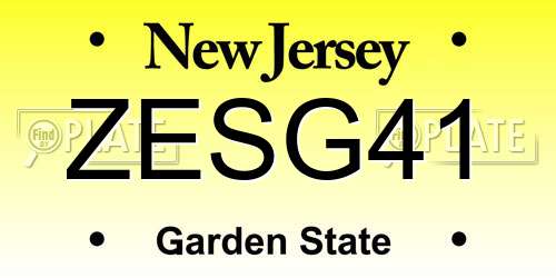 ZESG41 New Jersey License Plate