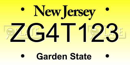 ZG4T123 New Jersey License Plate