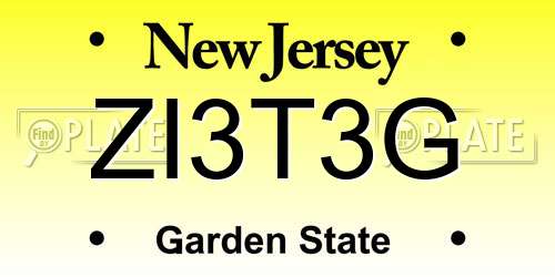 ZI3T3G New Jersey License Plate
