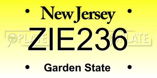 ZIE236 New Jersey License Plate