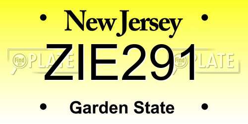 ZIE291 New Jersey License Plate