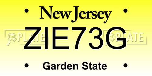 ZIE73G New Jersey License Plate
