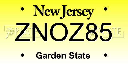 ZNOZ85 New Jersey License Plate