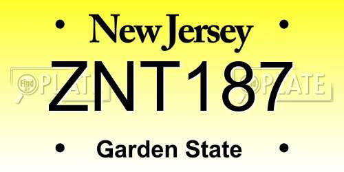 ZNT187 New Jersey License Plate