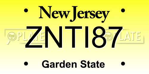 ZNTI87 New Jersey License Plate