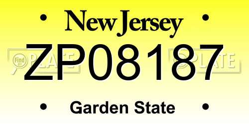 ZP08187 New Jersey License Plate
