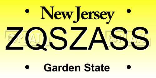ZQSZASS New Jersey License Plate