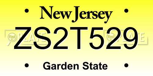 ZS2T529 New Jersey License Plate
