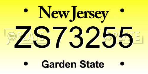 ZS73255 New Jersey License Plate