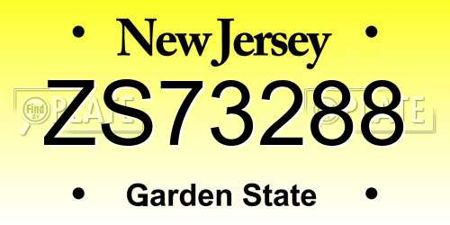 ZS73288 New Jersey License Plate
