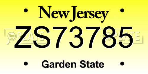 ZS73785 New Jersey License Plate