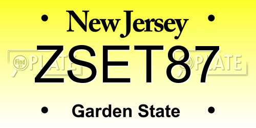 ZSET87 New Jersey License Plate