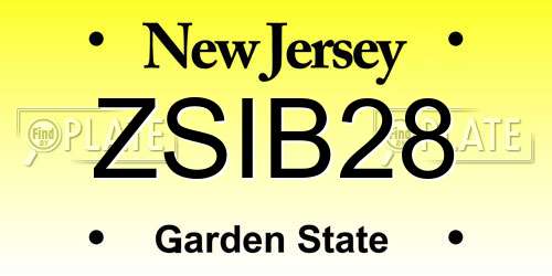 ZSIB28 New Jersey License Plate