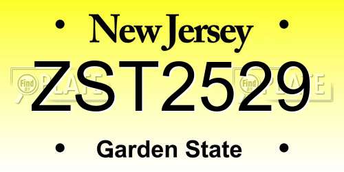 ZST2529 New Jersey License Plate