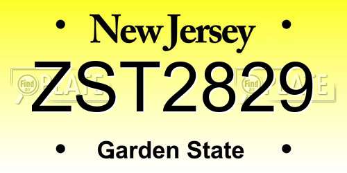 ZST2829 New Jersey License Plate