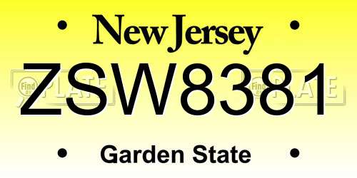 ZSW8381 New Jersey License Plate