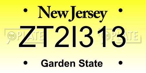 ZT2I313 New Jersey License Plate