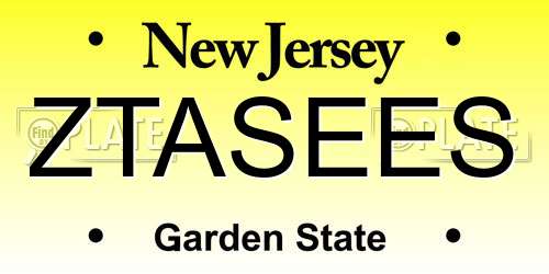 ZTASEES New Jersey License Plate