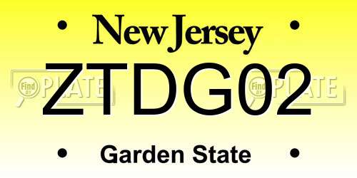 ZTDG02 New Jersey License Plate